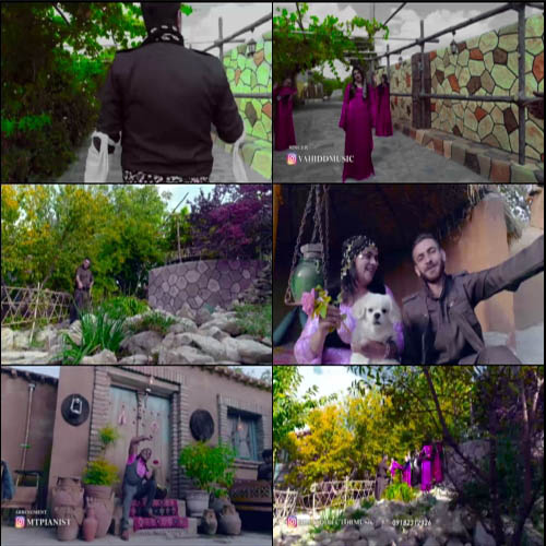 وحید دوستی گل باخی